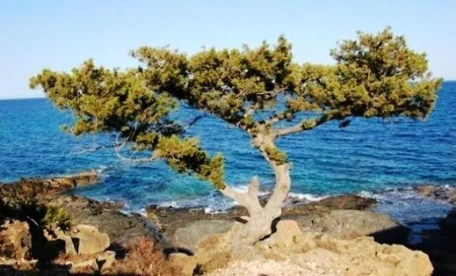 이솔라 로사 Tanca Della Torre Trilocale Vista Mare 아파트