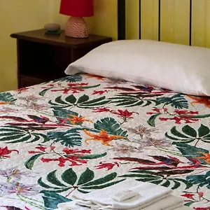 House Gallery Sardinia -il Sogno- Apartment
